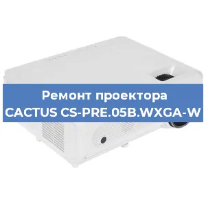 Ремонт проектора CACTUS CS-PRE.05B.WXGA-W в Новосибирске